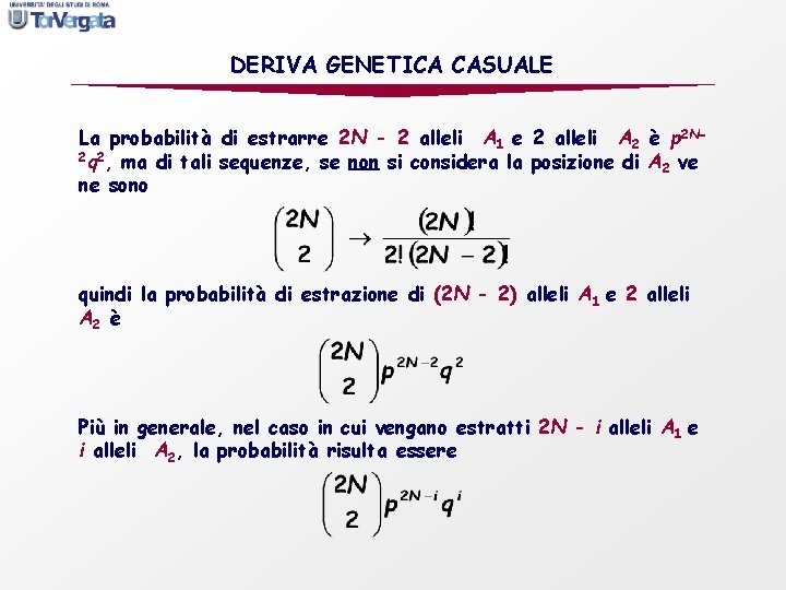 DERIVA GENETICA CASUALE La probabilità di estrarre 2 N - 2 alleli A 1