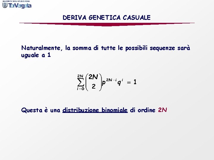 DERIVA GENETICA CASUALE Naturalmente, la somma di tutte le possibili sequenze sarà uguale a