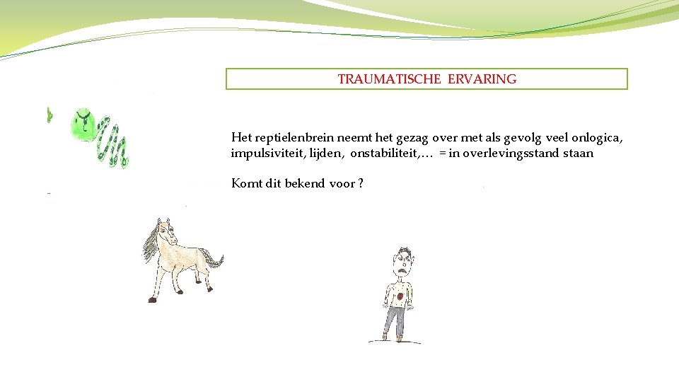 TRAUMATISCHE ERVARING Het reptielenbrein neemt het gezag over met als gevolg veel onlogica, impulsiviteit,