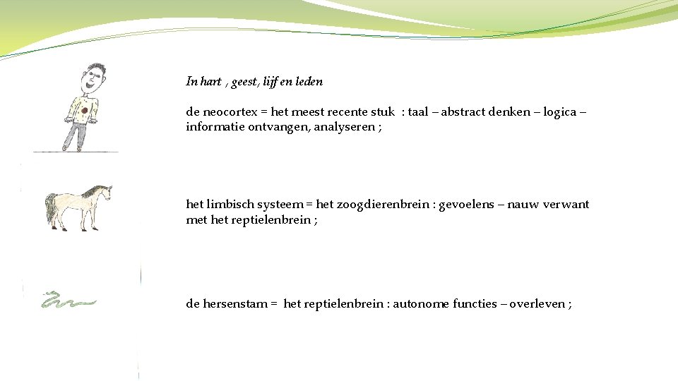In hart , geest, lijf en leden de neocortex = het meest recente stuk