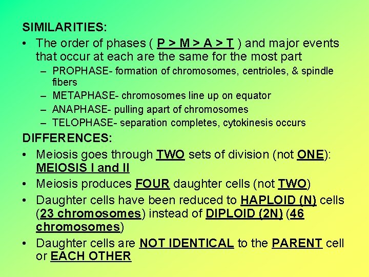 SIMILARITIES: • The order of phases ( P > M > A > T