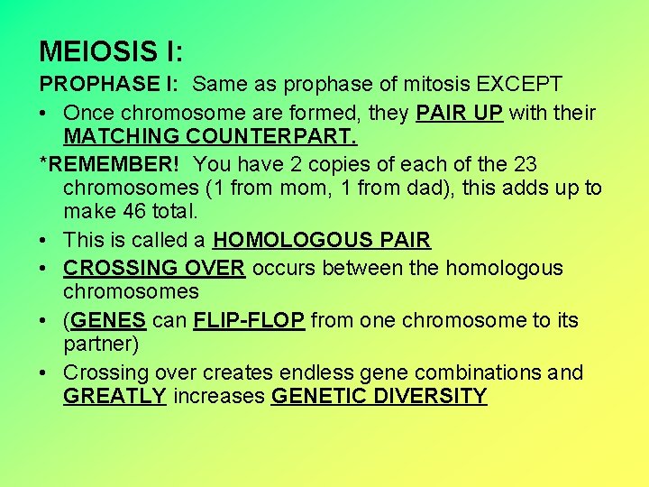 MEIOSIS I: PROPHASE I: Same as prophase of mitosis EXCEPT • Once chromosome are