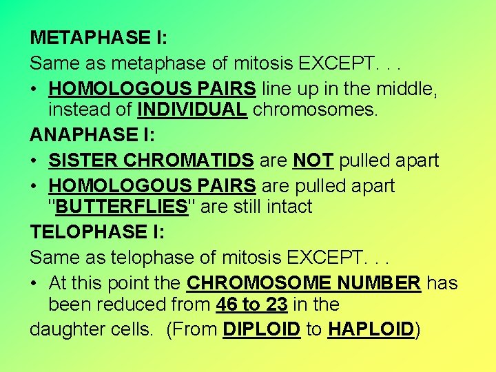 METAPHASE I: Same as metaphase of mitosis EXCEPT. . . • HOMOLOGOUS PAIRS line