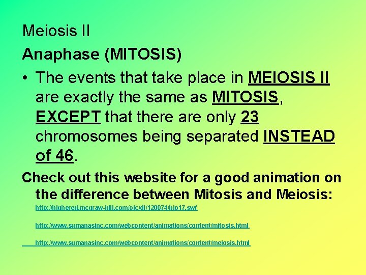 Meiosis II Anaphase (MITOSIS) • The events that take place in MEIOSIS II are