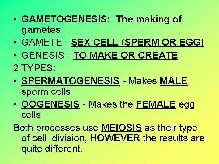  • GAMETOGENESIS: The making of gametes • GAMETE - SEX CELL (SPERM OR