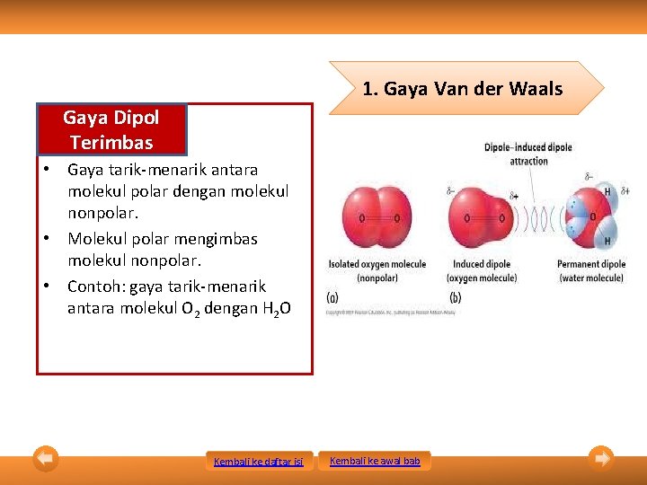 1. Gaya Van der Waals Gaya Dipol Terimbas • Gaya tarik-menarik antara molekul polar