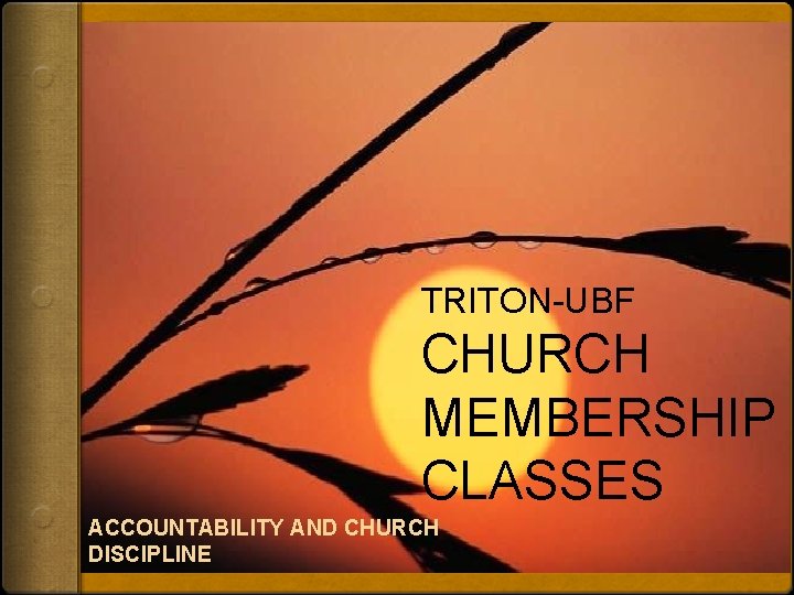 TRITON-UBF CHURCH MEMBERSHIP CLASSES ACCOUNTABILITY AND CHURCH DISCIPLINE 