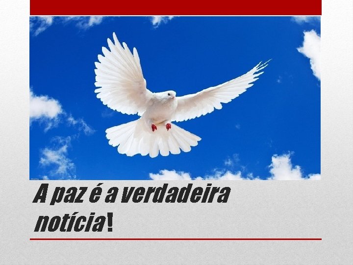 A paz é a verdadeira notícia ! 