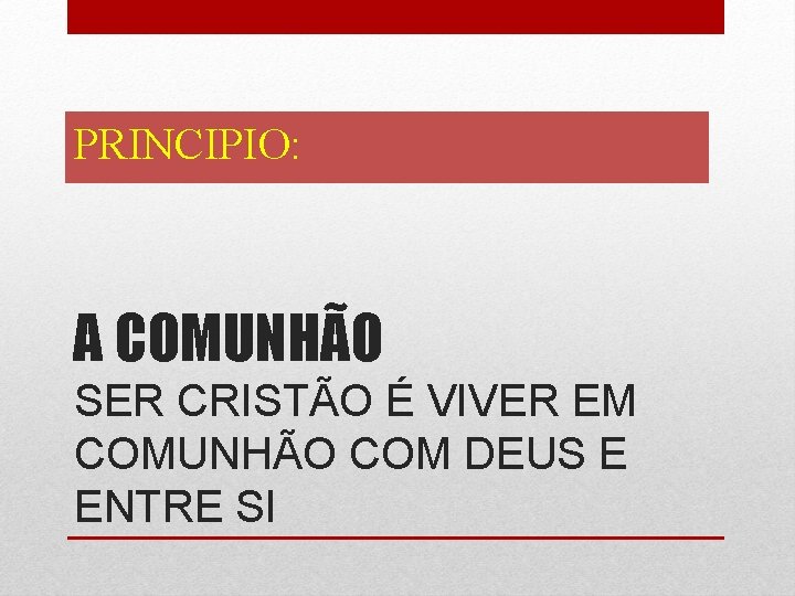 PRINCIPIO: A COMUNHÃO SER CRISTÃO É VIVER EM COMUNHÃO COM DEUS E ENTRE SI