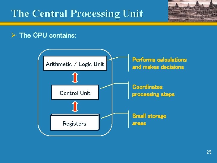 The Central Processing Unit Ø The CPU contains: Arithmetic / Logic Unit Control Unit