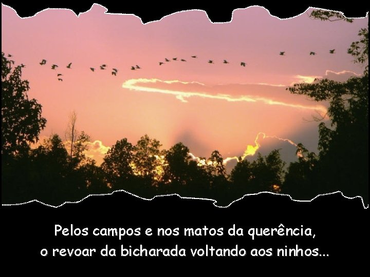 Pelos campos e nos matos da querência, o revoar da bicharada voltando aos ninhos.