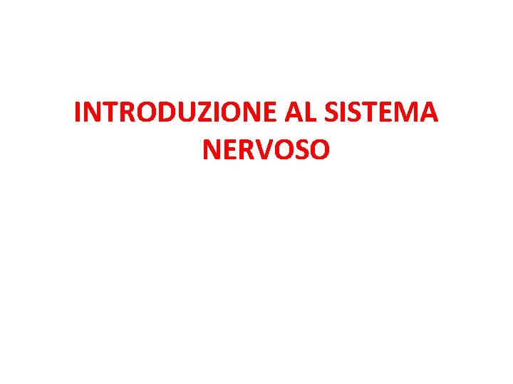 INTRODUZIONE AL SISTEMA NERVOSO 