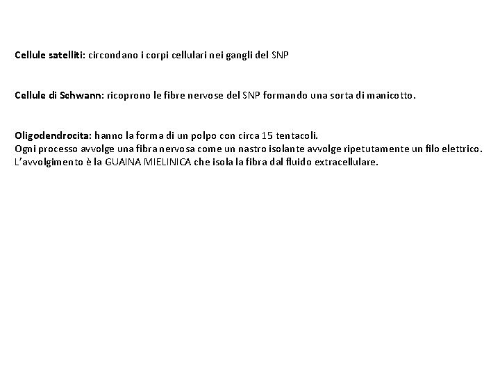 Cellule satelliti: circondano i corpi cellulari nei gangli del SNP Cellule di Schwann: ricoprono