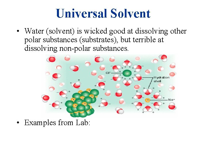 Universal Solvent • Water (solvent) is wicked good at dissolving other polar substances (substrates),