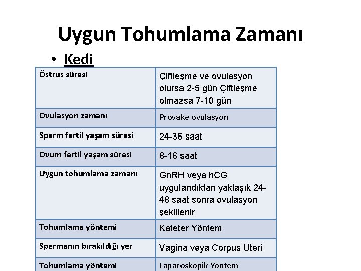 Uygun Tohumlama Zamanı • Kedi Östrus süresi Çiftleşme ve ovulasyon olursa 2 -5 gün