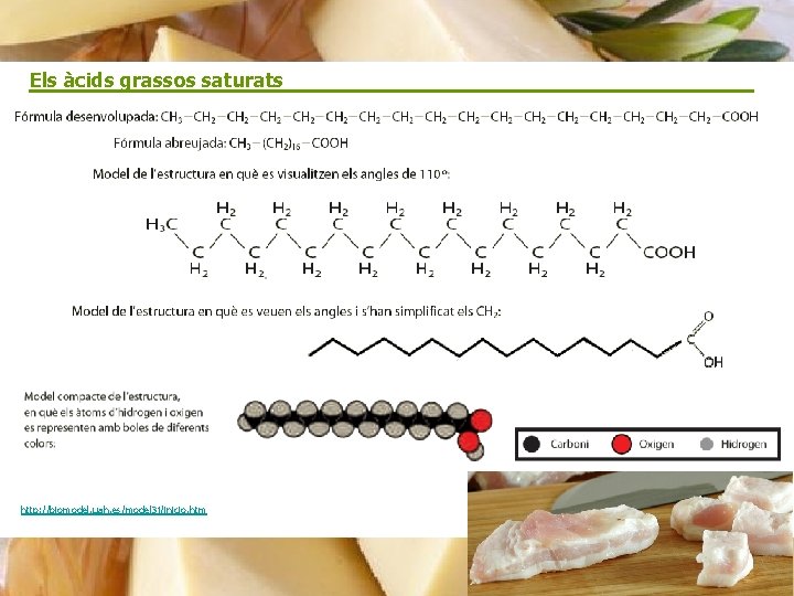 Els àcids grassos saturats http: //biomodel. uah. es/model 3 j/inicio. htm Mercè del Barrio