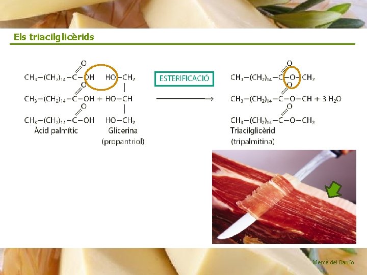Els triacilglicèrids Mercè del Barrio 