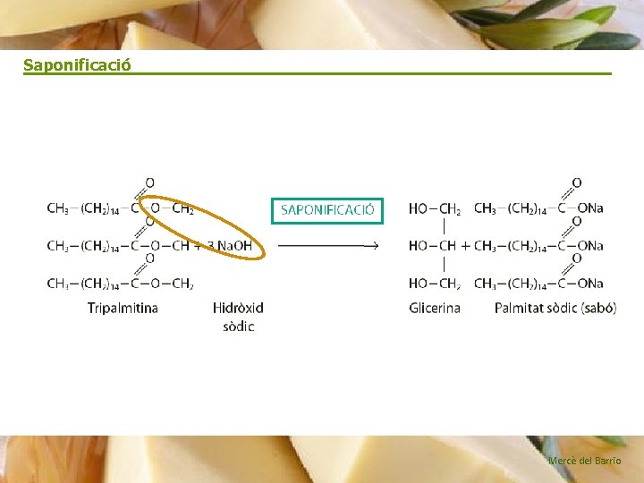 Saponificació Mercè del Barrio 
