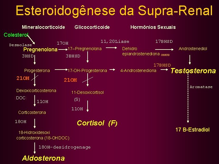 Esteroidogênese da Supra-Renal Mineralocorticoide Glicocorticoide Hormônios Sexuais Colesterol 11, 20 Liase 17 OH Desmolase