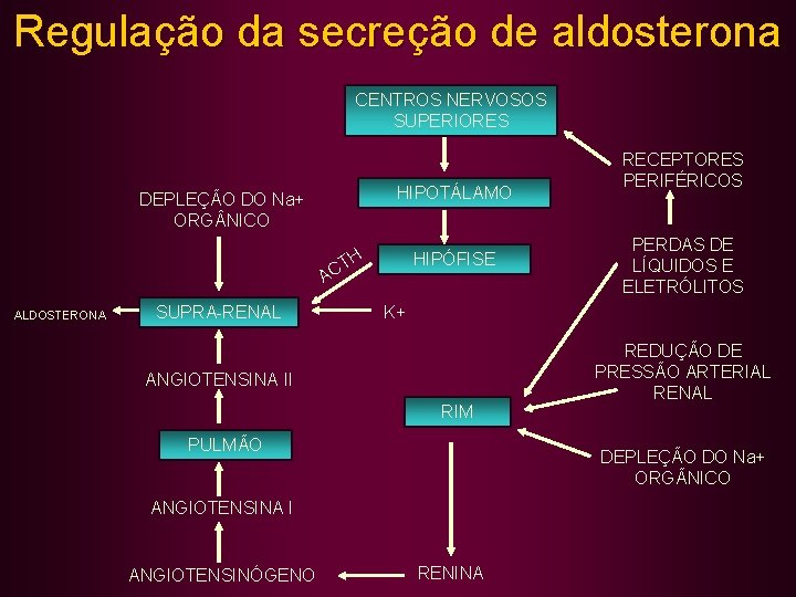 Regulação da secreção de aldosterona CENTROS NERVOSOS SUPERIORES HIPOTÁLAMO DEPLEÇÃO DO Na+ ORG NICO