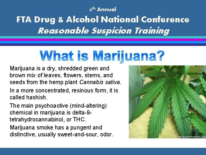 8 th Annual FTA Drug & Alcohol National Conference Reasonable Suspicion Training Marijuana is