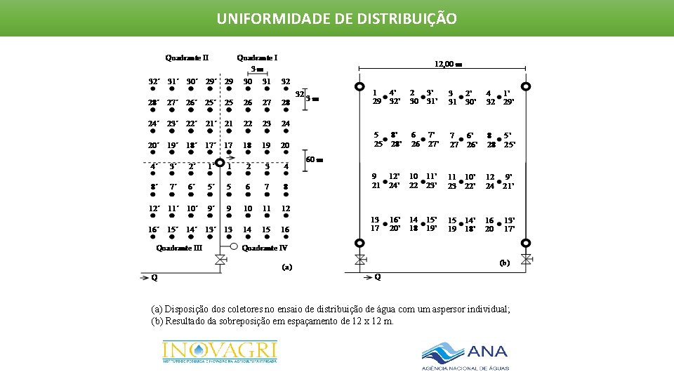 UNIFORMIDADE DE DISTRIBUIÇÃO (a) Disposição dos coletores no ensaio de distribuição de água com