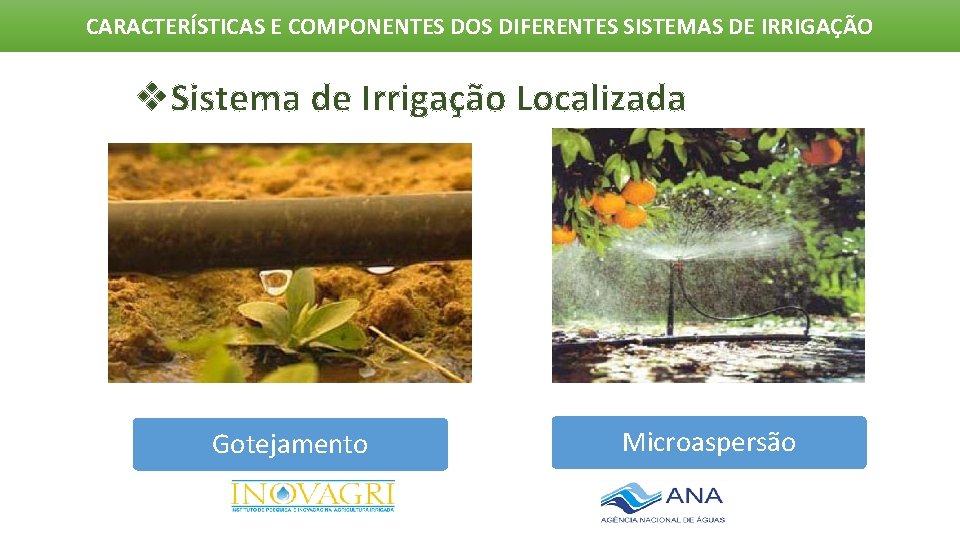 CARACTERÍSTICAS E COMPONENTES DOS DIFERENTES SISTEMAS DE IRRIGAÇÃO v. Sistema de Irrigação Localizada Gotejamento