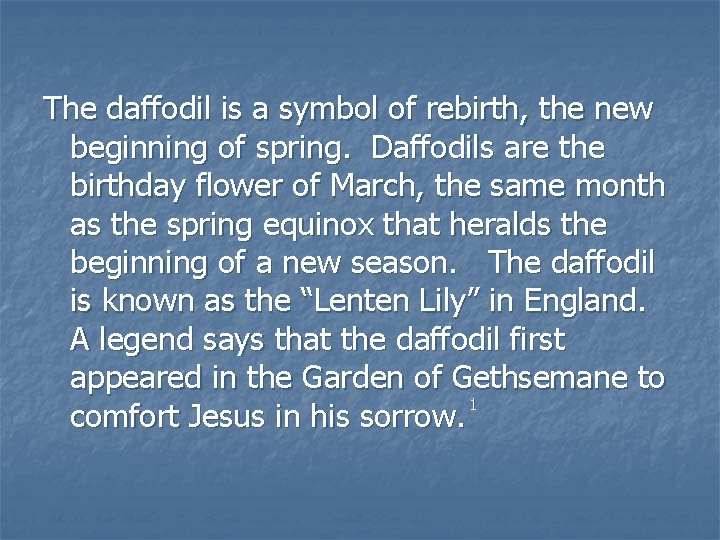 The daffodil is a symbol of rebirth, the new beginning of spring. Daffodils are