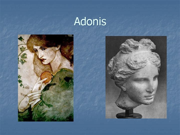 Adonis 