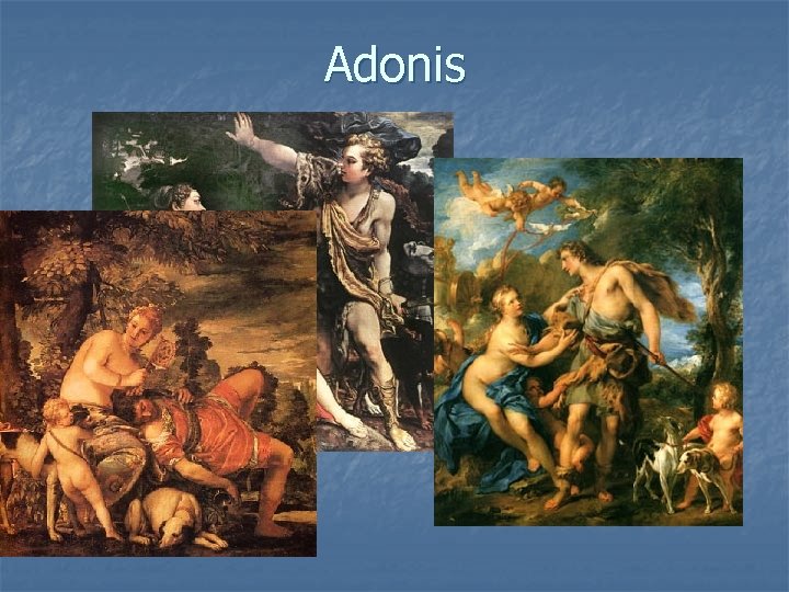 Adonis 