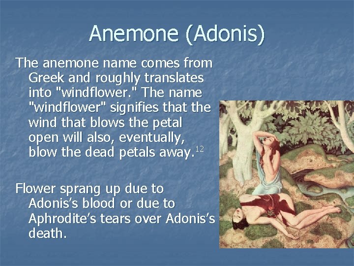 Anemone (Adonis) The anemone name comes from Greek and roughly translates into "windflower. "