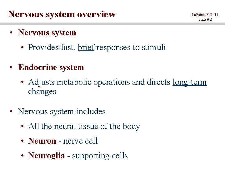 Chapter 12 1 Neural tissue Nervous system overview