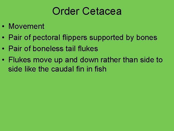 Order Cetacea • • Movement Pair of pectoral flippers supported by bones Pair of