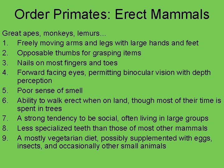 Order Primates: Erect Mammals Great apes, monkeys, lemurs… 1. Freely moving arms and legs