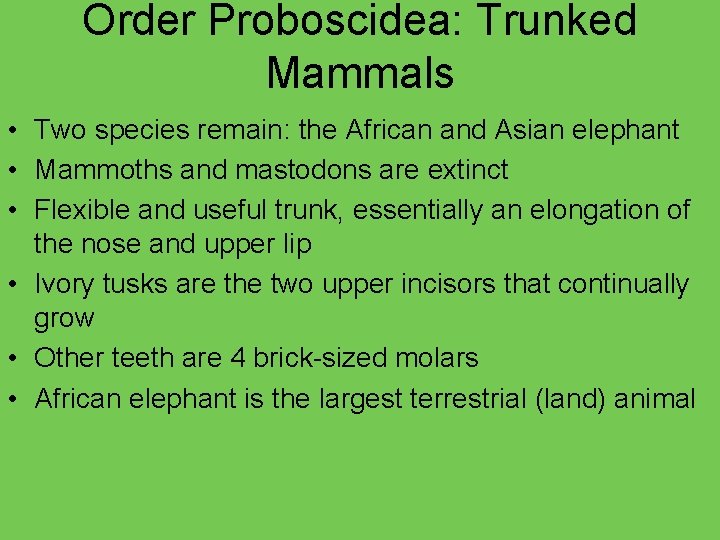 Order Proboscidea: Trunked Mammals • Two species remain: the African and Asian elephant •