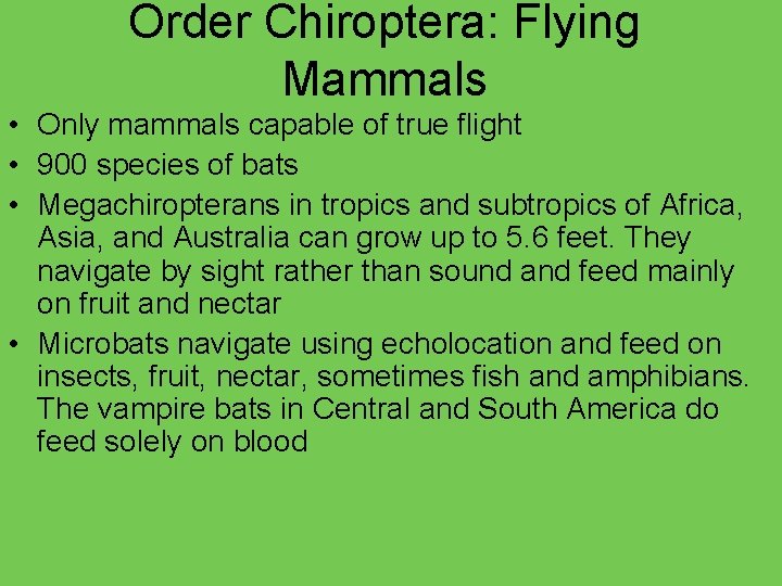 Order Chiroptera: Flying Mammals • Only mammals capable of true flight • 900 species