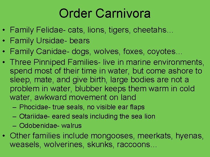 Order Carnivora • • Family Felidae- cats, lions, tigers, cheetahs… Family Ursidae- bears Family