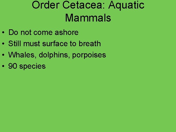 Order Cetacea: Aquatic Mammals • • Do not come ashore Still must surface to