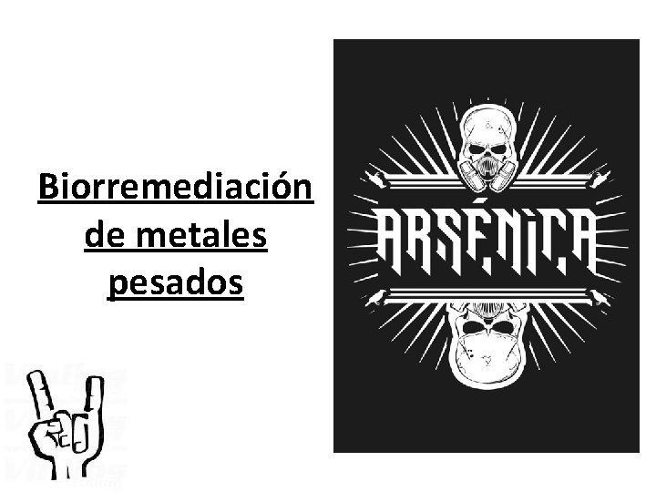 Biorremediación de metales pesados 