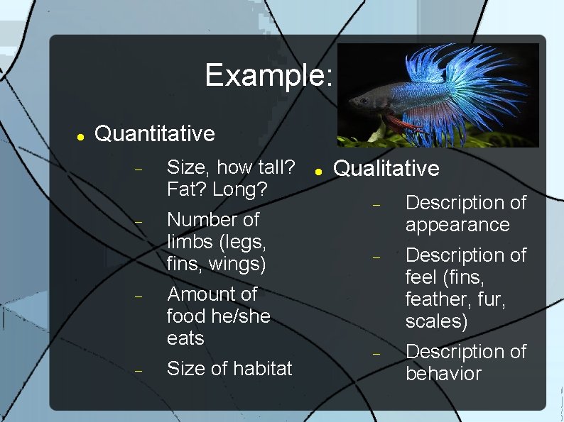 Example: Pet Quantitative Size, how tall? Fat? Long? Number of limbs (legs, fins, wings)