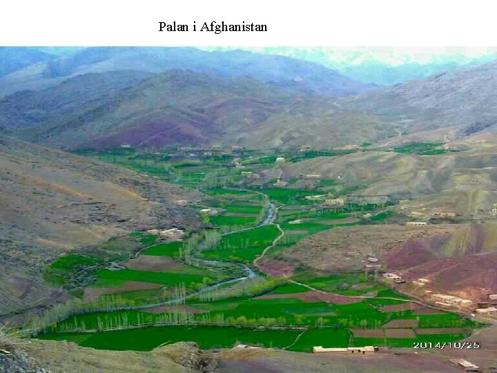 Palan i Afghanistan 