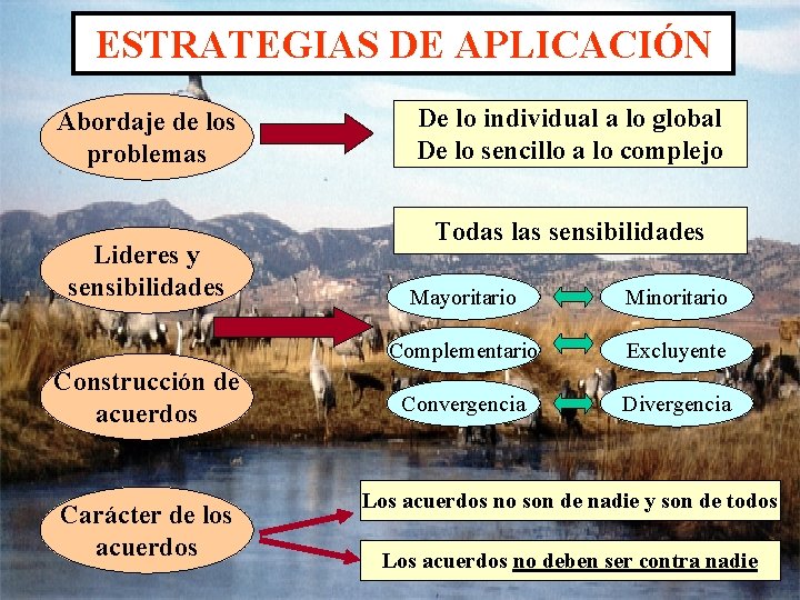 ESTRATEGIAS DE APLICACIÓN Abordaje de los problemas Lideres y sensibilidades Construcción de acuerdos Carácter