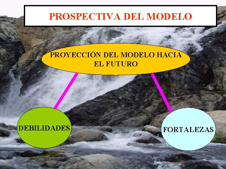 PROSPECTIVA DEL MODELO PROYECCIÓN DEL MODELO HACIA EL FUTURO DEBILIDADES FORTALEZAS 