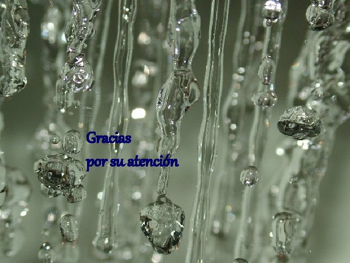 Gracias por su atención 