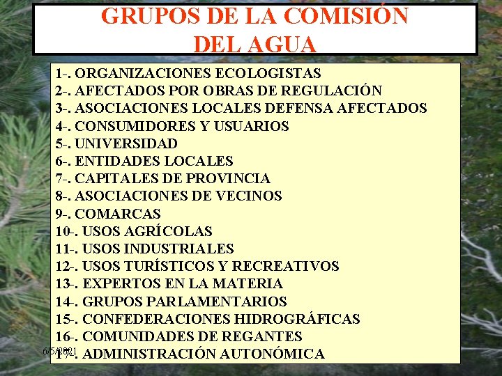 GRUPOS DE LA COMISIÓN DEL AGUA 1 -. ORGANIZACIONES ECOLOGISTAS 2 -. AFECTADOS POR