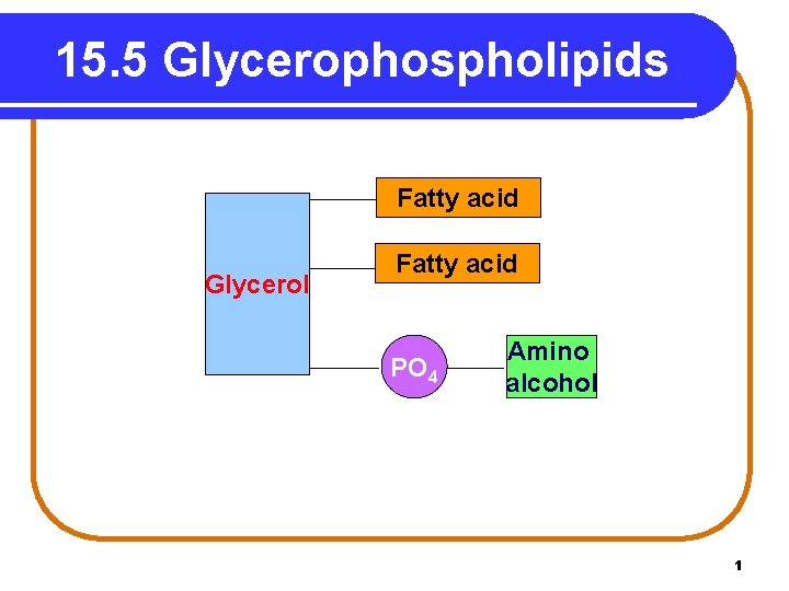 15. 5 Glycerophospholipids Fatty acid Glycerol Fatty acid PO 4 Amino alcohol 1 