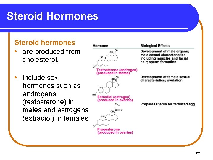 Steroid Hormones Steroid hormones • are produced from cholesterol. • include sex hormones such