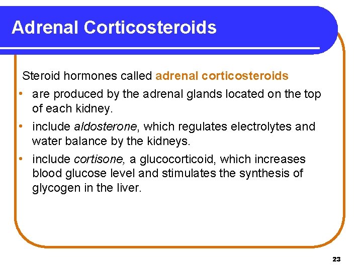 Adrenal Corticosteroids Steroid hormones called adrenal corticosteroids • are produced by the adrenal glands