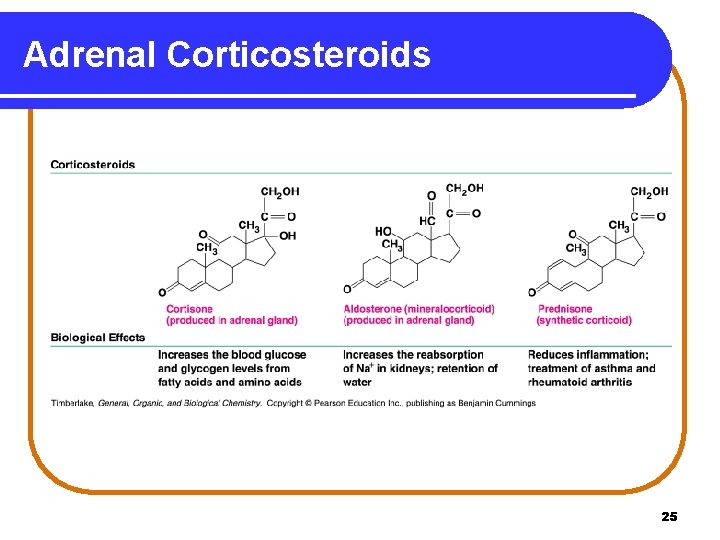 Adrenal Corticosteroids 25 