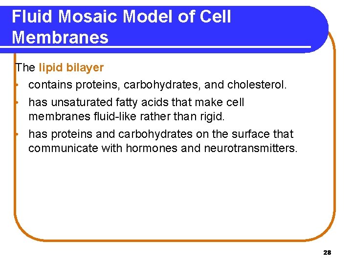 Fluid Mosaic Model of Cell Membranes The lipid bilayer • contains proteins, carbohydrates, and